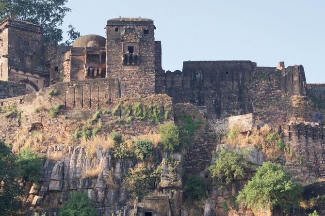 03 Days Private Ranthambore Wildlife Safari Tour From Delhi - 3 Days from Delhi to Ranthambore: a tight, well-paced plan