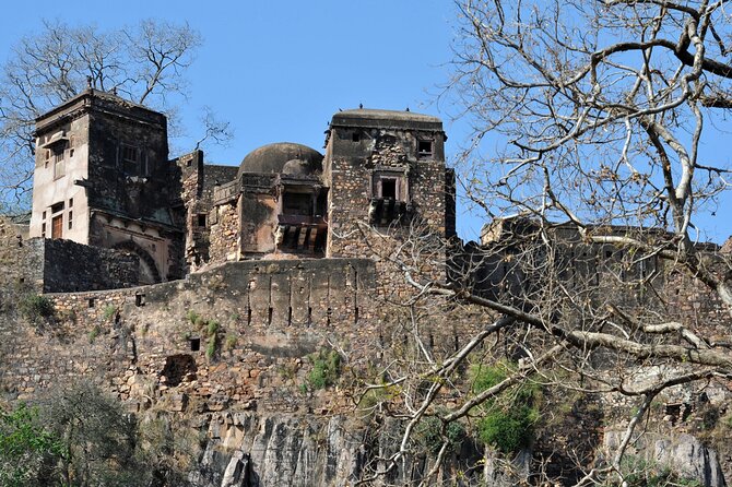 03 Days Private Ranthambore Wildlife Safari Tour From Delhi - Day 3: morning transfer back to Delhi
