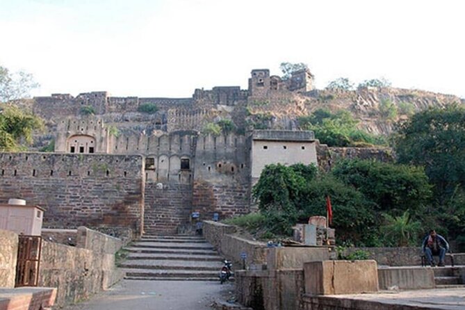03 Days Private Ranthambore Wildlife Safari Tour From Delhi - Canter safaris vs private jeep: decide what kind of experience you want