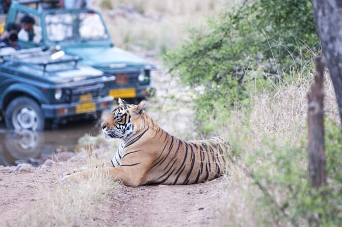 04 Days Ranthambore Tiger Tour With Agra & Jaipur By Car From Delhi - Key Things That Make This Tour Work