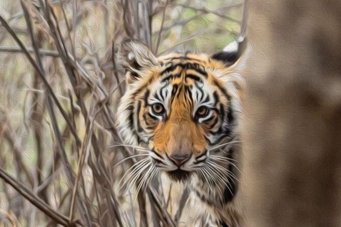 05 Days - Private Luxury Golden Triangle Tour with Ranthambore - Price and value: what $395.40 buys you