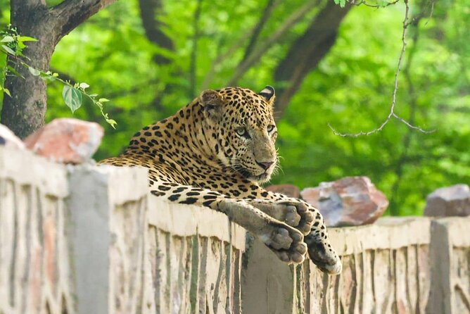 05 Days - Private Luxury Golden Triangle Tour with Ranthambore - Day 1 in Delhi: Qutub Minar, Lotus Temple, and Old Delhi flow