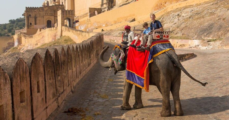 06 Days Golden Triangle Tour with Ranthambore Safari - Highlights that matter before you go