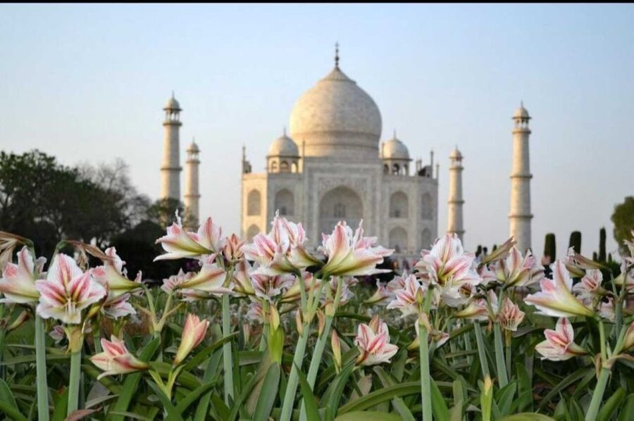 06 Days Golden Triangle Tour with Ranthambore Safari - Golden Triangle With Ranthambore: the value of a private rhythm
