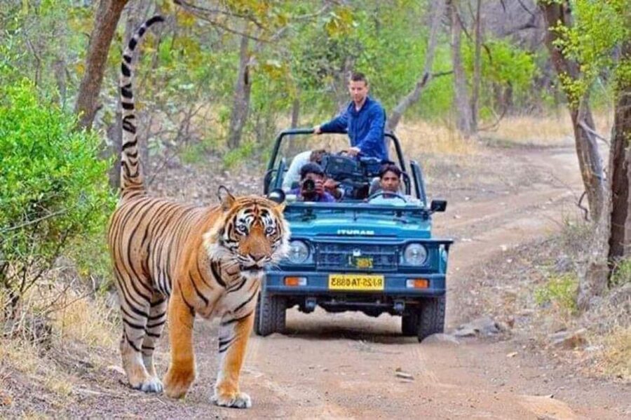06 Days Golden Triangle Tour with Ranthambore Safari - Day 2 in Delhi: India Gate, Qutub Minar, Humayun’s Tomb