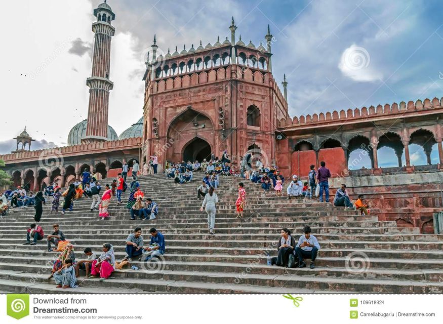 06 Days Golden Triangle Tour with Ranthambore Safari - Day 5 Ranthambore sunrise safari plus Abhaneri step wells