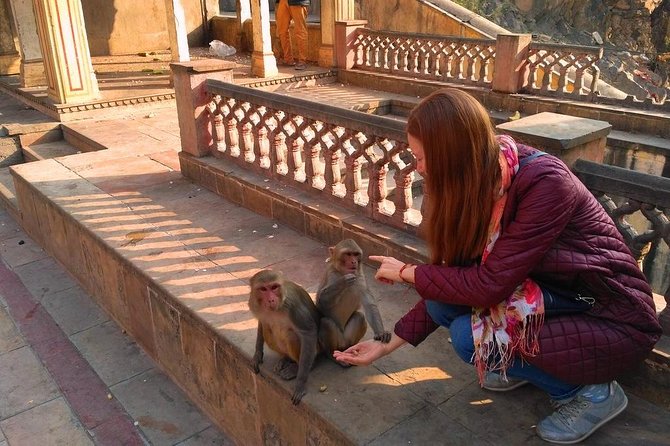 10-Days Rajasthan & Agra tour from Delhi Includes Hotels,Transportations & Guide - How this 10-Day Delhi to Rajasthan and Agra route feels in real time
