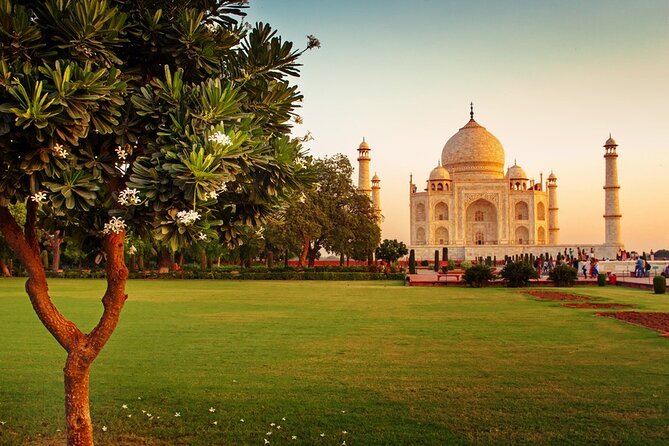 11-day Private Tour: Legacy of Rajasthan - Private guide attention: where the trip speeds up and feels more personal