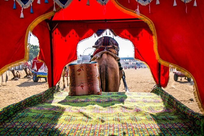 12 Day Royal Rajasthan Tour - Taj Mahal Tigers Lakes & Wildlife - Pushkar: Brahma Temple and a walk along the ghats