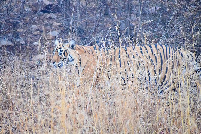 12-Days - Splendors of Golden Triangle & Rajasthan - The route: Golden Triangle plus Rajasthan, with smart pacing