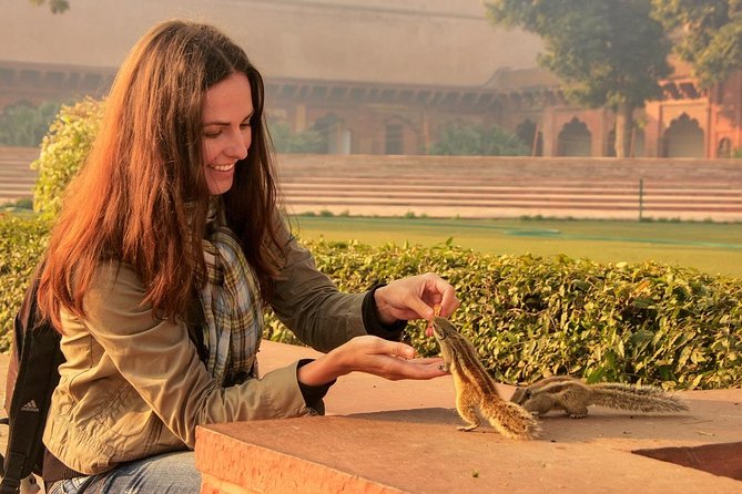 2 Days Agra & Jaipur Private Tour from Delhi - Day 1 in Agra: Taj Mahal first, then Agra Fort’s walled-city drama