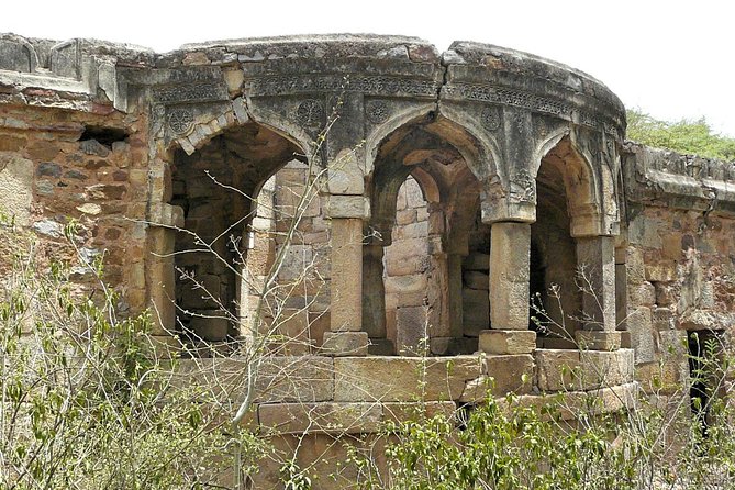 3-Hour Mehrauli Archaeological Park Ruins Walking Tour Delhi - The guide is the real engine: Jai Singh’s stories and debate