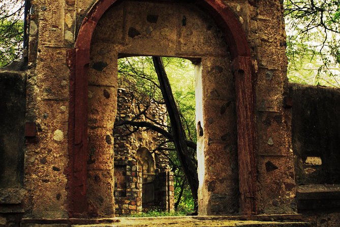 3-Hour Mehrauli Archaeological Park Ruins Walking Tour Delhi - Where this tour fits best in your Delhi day