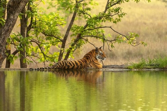 4 Day Golden Triangle Tour with Ranthambore Tiger Tour - Day 1: Delhi to Agra, With Classic Mughal-And-Beyond Stops
