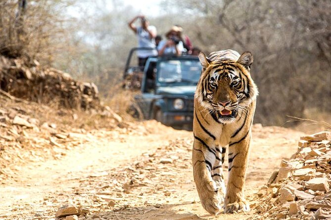 4-Day Private Ranthambhore Tiger Tour Including Delhi, Agra and Jaipur - Taj Mahal at sunrise: why that early slot is worth your sleep