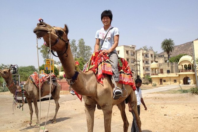 4 Days Golden Triangle Tour India From Delhi - Price and Logistics: What $190 Really Buys