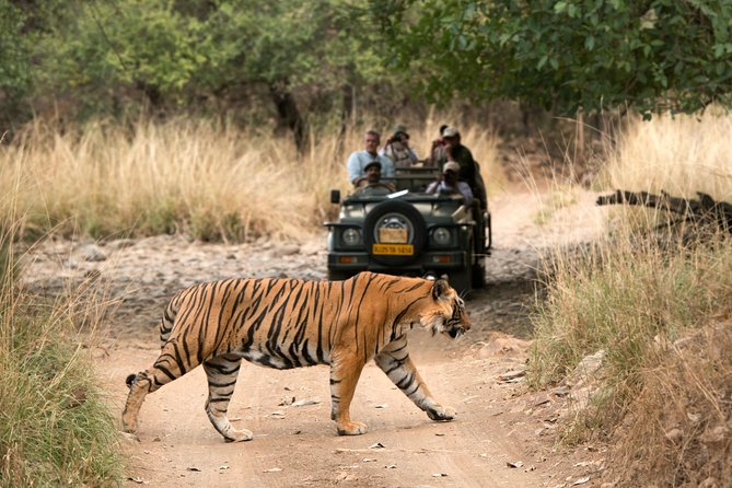 4 Days Golden Triangle Tour with Ranthambore from Delhi - Qutub Minar and a Delhi city tour that sets the tone