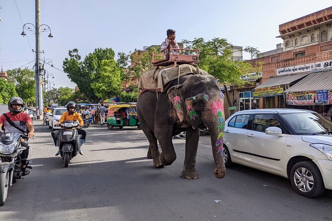 5-Day Golden Triangle Private Tour in Delhi, Agra and Jaipur - Tips that make the long days easier (and more photogenic)