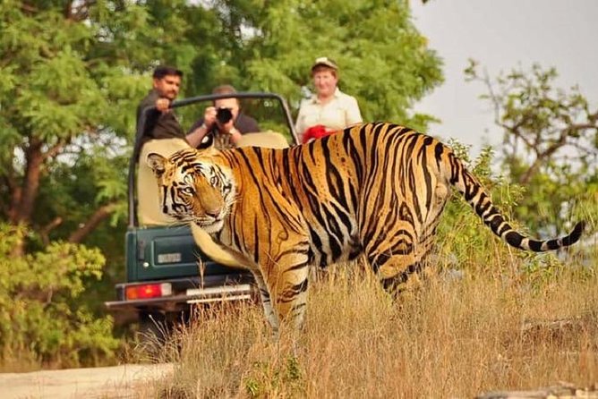5-Day Private Delhi, Agra and Jaipur with Ranthambhore Tiger Tour From Delhi - Delhi Day 1: Humayun’s Tomb, Qutub Minar, and Lutyens’s big statements
