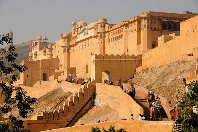 5-Day Private Golden Triangle Tour: Delhi, Agra, and Jaipur - Day 5 back in Delhi: use the free morning and plan your next step