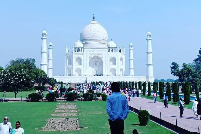5 Days Golden Triangle Tour with Ranthambore Delhi Agra Jaipur - Who this tour is best for