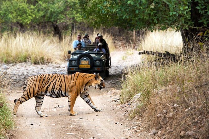 5 Days Golden Triangle Tour with Ranthambore Tiger Safari - Price and Logistics: Is $399.20 a Good Deal?