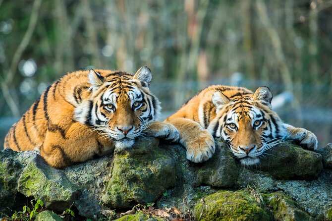5 Days Golden Triangle with Ranthambore (Delhi Agra Jaipur Ranthambore Tour) - The Drive Into Agra: When the Trip Starts Feeling Like a Real Plan