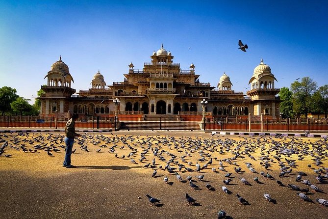 5 - Days Private Golden Triangle Tour : Delhi Agra Jaipur - Delhi: Old Delhi rickshaw + Chandni Chowk without the headache