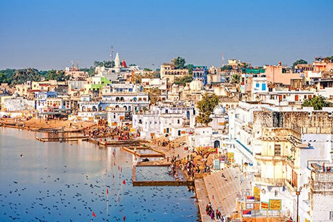 5 Nights 6 Days Private Golden Triangle Tour with Ranthambore - Day 4: Early Morning Safari, Then Jaipur Check-In and Leisure Time