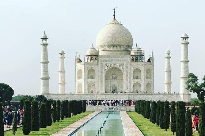 6 Days Golden Triangle with Ranthambore & Varanasi Tour - Ranthambore Day 3: One early safari, and the value of doing it right