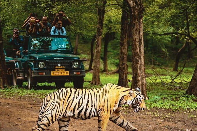 6 Days Golden Triangle with Ranthambore & Varanasi Tour - Varanasi Day 5: Ganges sunrise boat ride and Dashashwamedh Ghat Aarti