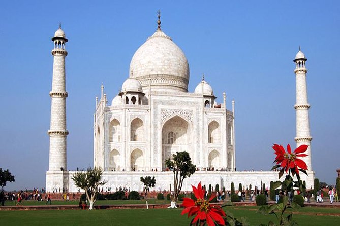 6-Days Private Luxury Golden Triangle Tour from Delhi - Day 2 Delhi: Jama Masjid, Chandni Chowk tuk-tuk, and UNESCO giants