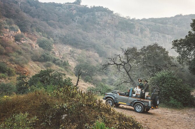 7-Day Golden Triangle Tour with Ranthambore Tiger Safari - Day 1 in Delhi: an easy start with a real meeting point