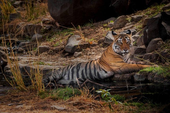 7 Days Golden Triangle Tour with Ranthambore: Delhi Agra Jaipur - Day 2 Agra Fort and a Sunset Taj Mahal