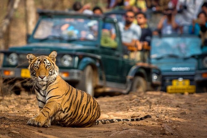 7 Days Golden Triangle Tour with Ranthambore & Varanasi Tour - Day 7 back to New Delhi: finish with a flight