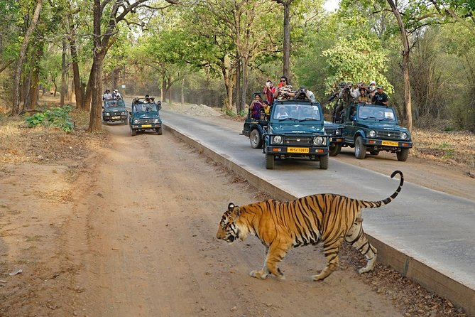 8 Day Golden Triangle Tour with Ranthambore {Taj , Tigers & More} - Delhi’s Old + New Contrast, With a Fun Tuk-Tuk Twist