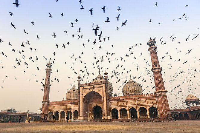 8 Days Private Luxury Tour of Taj Mahal & Palaces of India - Timeless Royalty - Starting and Ending in Jodhpur: The Easy Part of the Journey