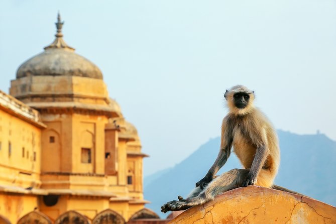 Adventurous & Classical India Curated Journey: South & Golden Triangle - Delhi’s Mughal and religious landmarks: Qutb Minar to Akshardham