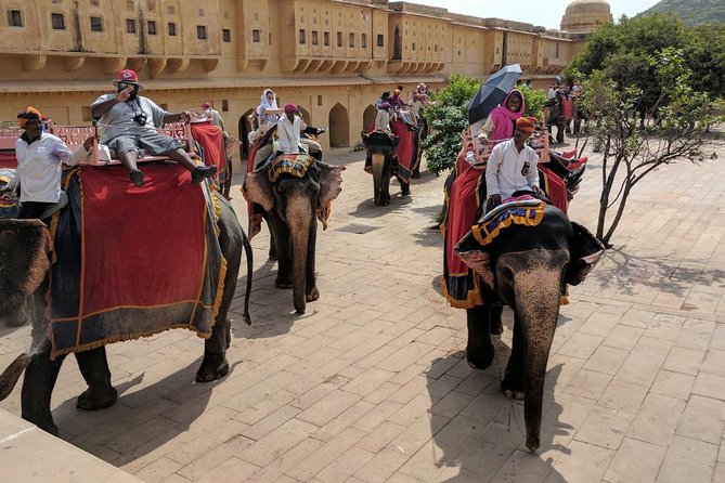 All-inclusive Golden Triangle Tour India with 5 Star hotel - Hotels, meals, and the value check for $999
