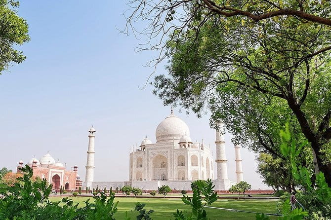 all inclusive private day trip to taj mahal from delhi by car - Lunch at Tajnuma: Buffet Choices (Vegetarian, Halal, and a Non-Allergenic Option)