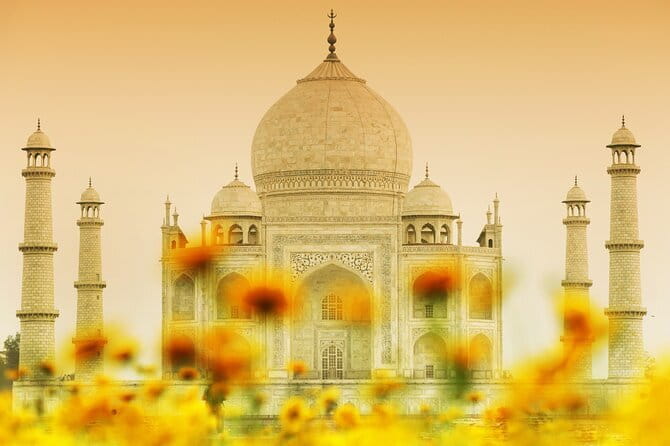 All-Inclusive Private Tour From Delhi To The Taj Mahal - Lunch at a 5-star hotel: why an included meal can be more than a perk