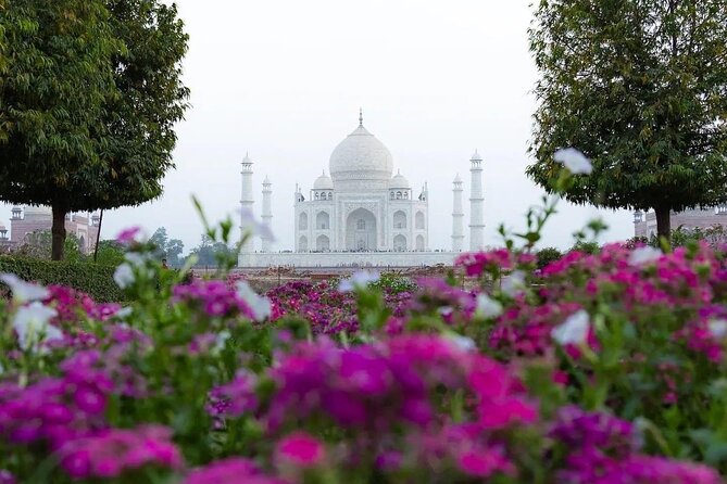 All Inclusive Same Day Taj Mahal and Agra Fort Tour from Delhi - Agra Fort: red sandstone scale and Mughal-era power