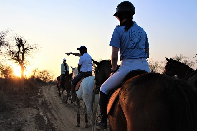 Aravali Trail Experience( Jungle Safari Forest area)- Horseback Riding - Key things that make this Aravalli horseback lesson worth your time