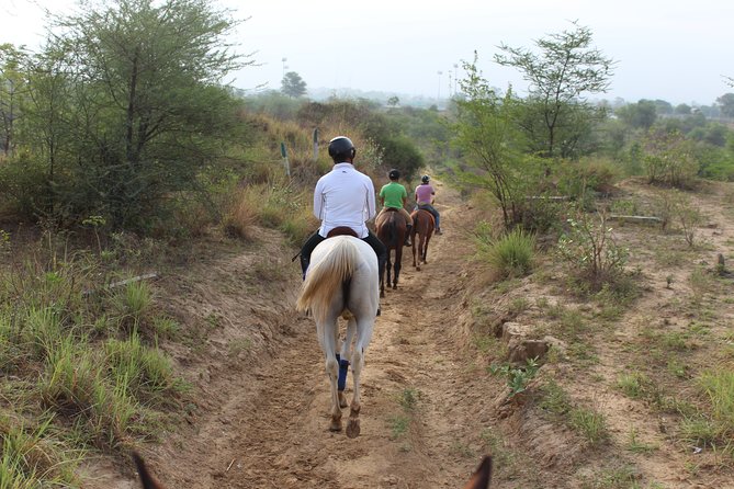 Aravali Trail Experience( Jungle Safari Forest area)- Horseback Riding - Practical FAQ for booking and showing up