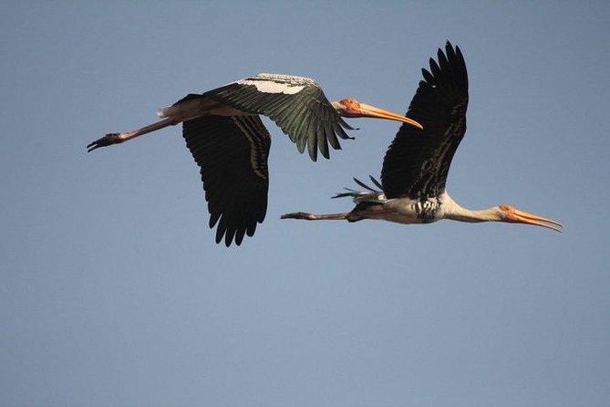 Bird Sanctuary, Bharatpur & Taj Mahal, Agra Day Tour from Delhi - Agra shopping at Carpet House: what you’ll actually see