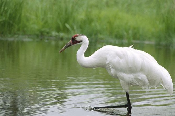 Bird Sanctuary, Bharatpur & Taj Mahal, Agra Day Tour from Delhi - Price and logistics: is $164 per person good value?
