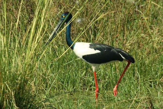 Bird Sanctuary, Bharatpur & Taj Mahal, Agra Day Tour from Delhi - Lunch break and the drive into Agra