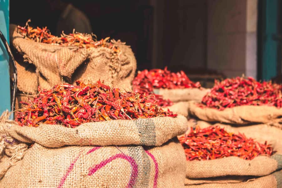 Build Your Own: custom private tour of Delhi with transfer - What to expect during the 8 hours on the clock