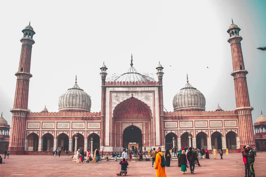 Build Your Own: custom private tour of Delhi with transfer - Price vs. what you get (and how to judge value)