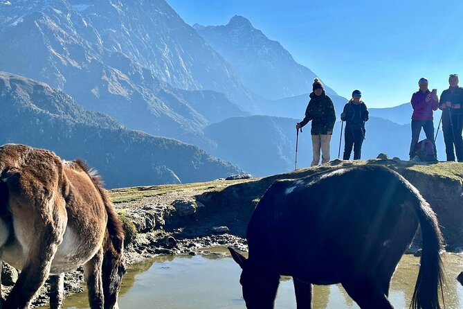 Dalai Lama Himalayan Trek - Triund Hill: steep, rocky walking, and why your first big peak matters
